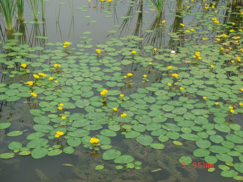 DSC07969.JPG