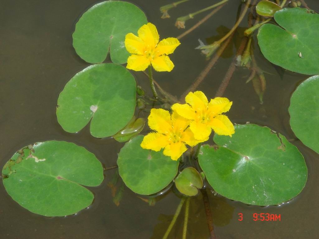 DSC07972.JPG