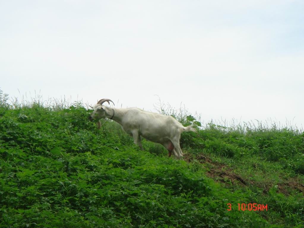 DSC07982.JPG