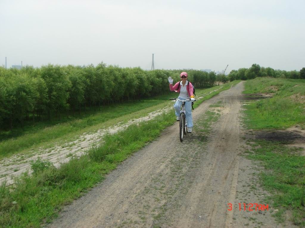 DSC07990.JPG
