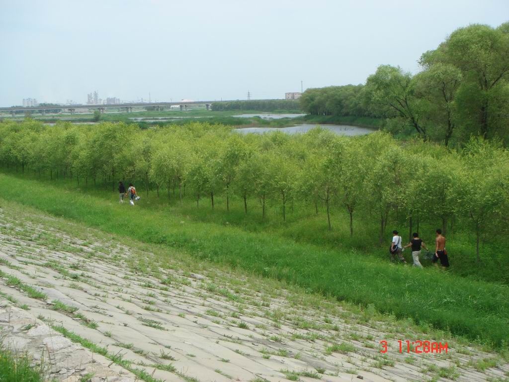 DSC07991.JPG