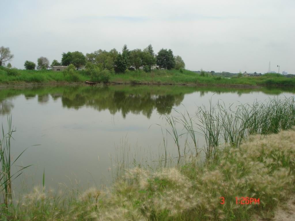DSC08002.JPG