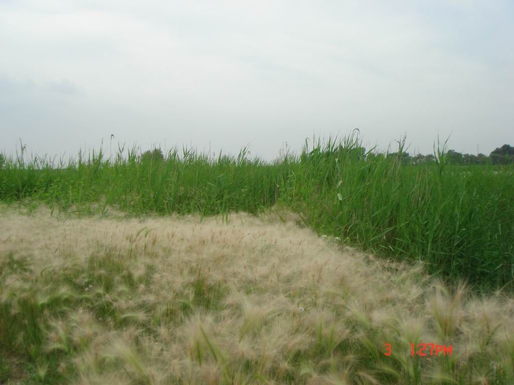 DSC08005.JPG