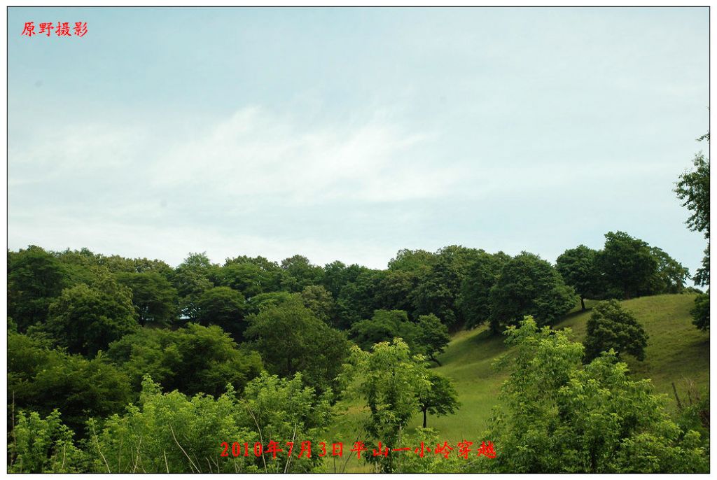 DSC_0656.jpg