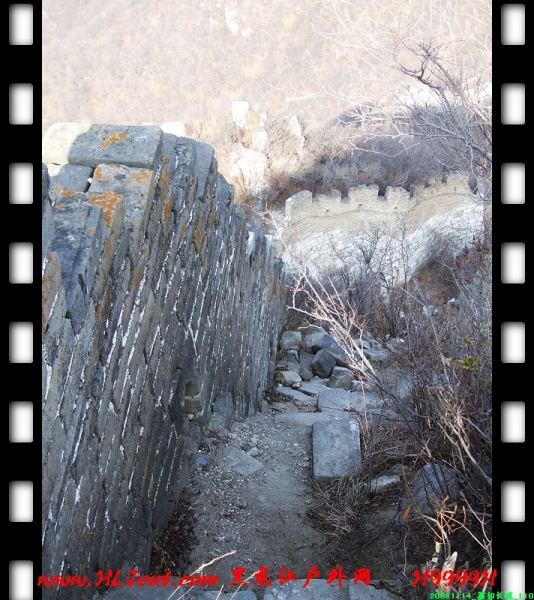 20081114_���۳���_110.jpg