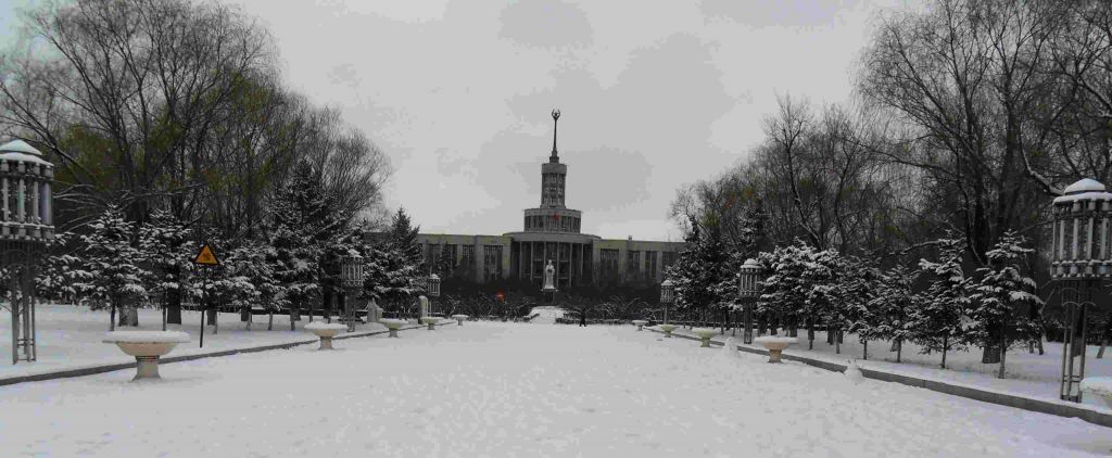 SDC12097.jpg