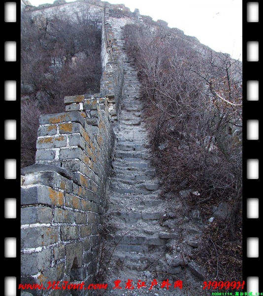 20081114_���۳���_114.jpg