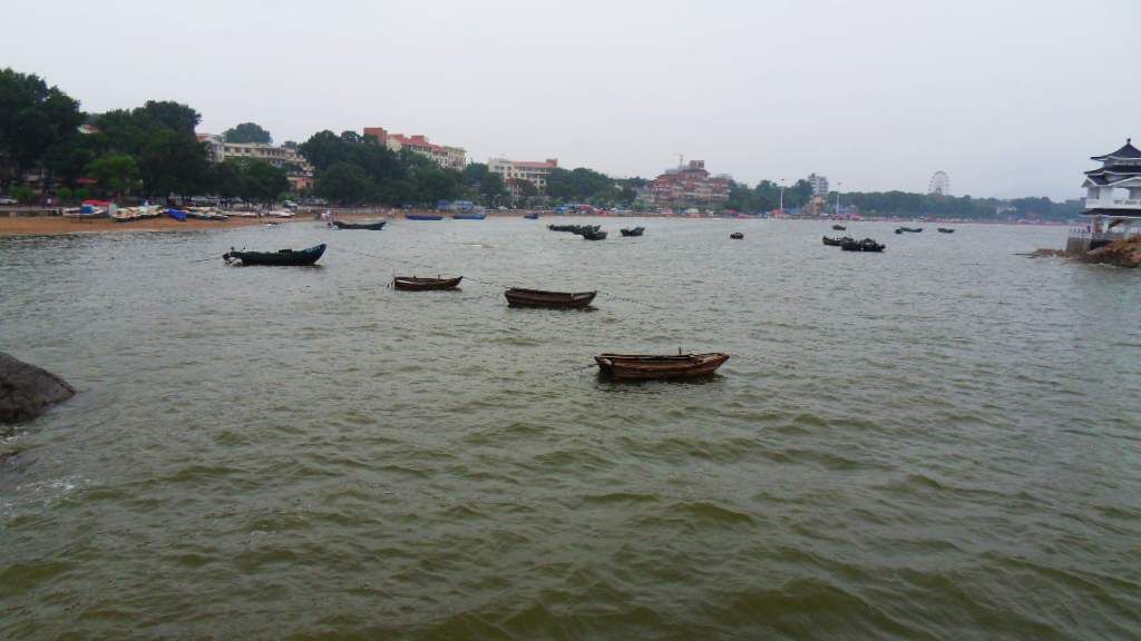 SDC13981.jpg