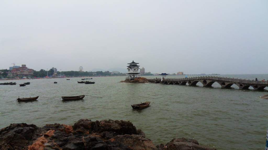 SDC14008.jpg