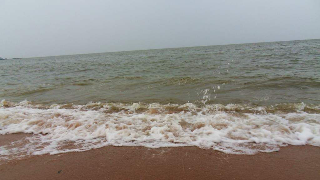 SDC14041.jpg