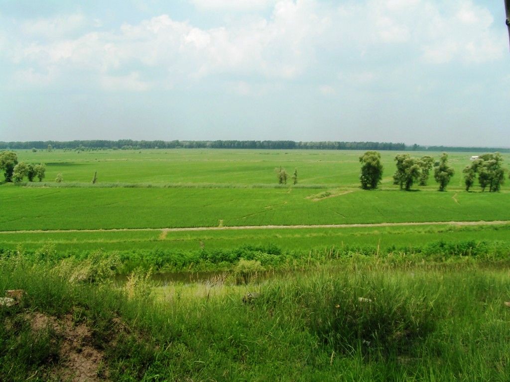 PICT0038000.JPG