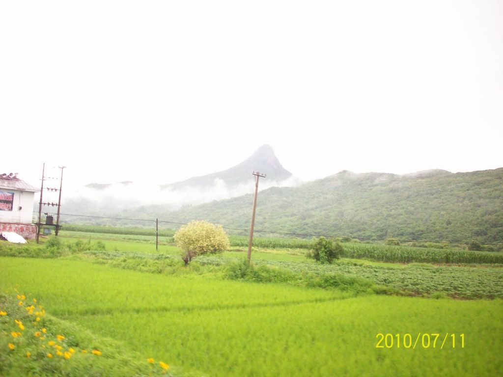 100_5219.JPG