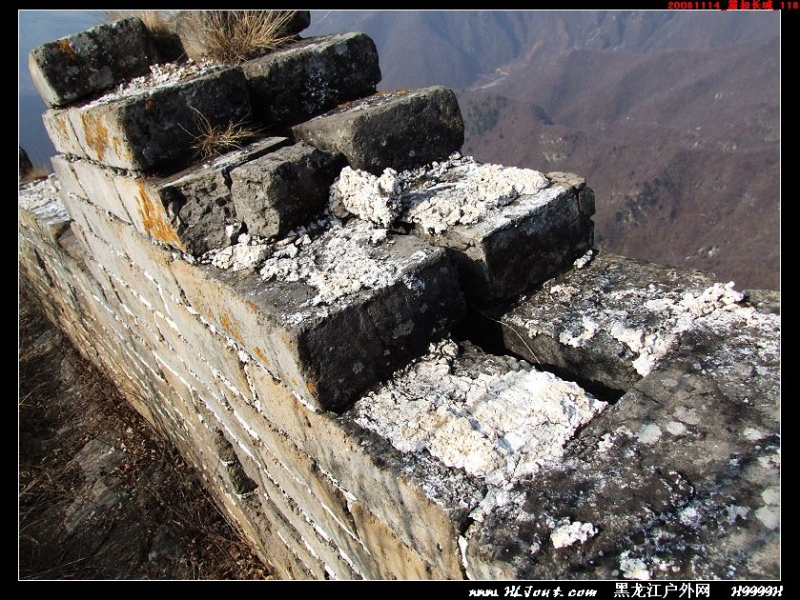 20081114_���۳���_118.jpg